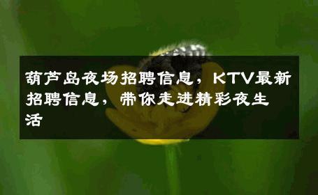 葫芦岛夜场招聘信息，KTV最新招聘信息，带你走进精彩夜生活