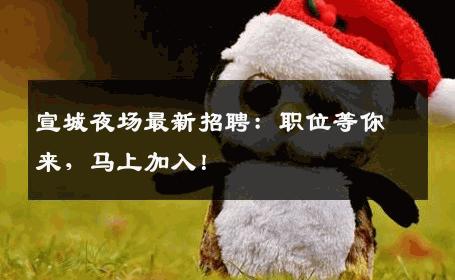 宣城夜场最新招聘：职位等你来，马上加入！