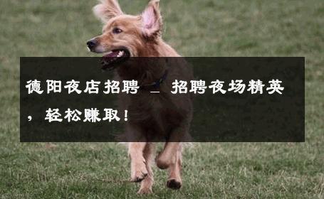 德阳夜店招聘 _ 招聘夜场精英，轻松赚取！