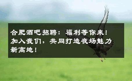 合肥酒吧招聘：福利等你来！加入我们，共同打造夜场魅力新高地！