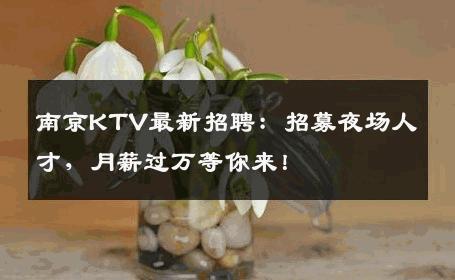南京KTV最新招聘：招募夜场人才，月薪过万等你来！