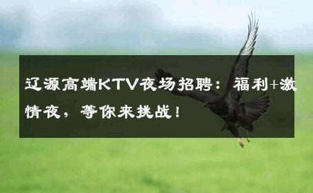 辽源高端KTV夜场招聘：福利+激情夜，等你来挑战！