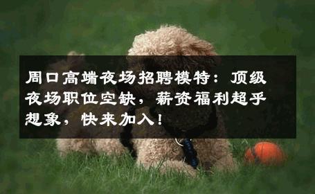 周口高端夜场招聘模特：顶级夜场职位空缺，薪资福利超乎想象，快来加入！