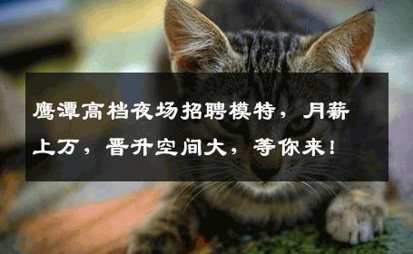 鹰潭高档夜场招聘模特，月薪上万，晋升空间大，等你来！