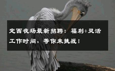 定西夜场最新招聘：福利+灵活工作时间，等你来挑战！