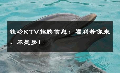 铁岭KTV招聘信息：福利等你来，不是梦！