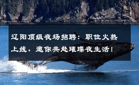 辽阳顶级夜场招聘：职位火热上线，邀你共赴璀璨夜生活！