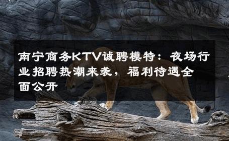 南宁商务KTV诚聘模特：夜场行业招聘热潮来袭，福利待遇全面公开
