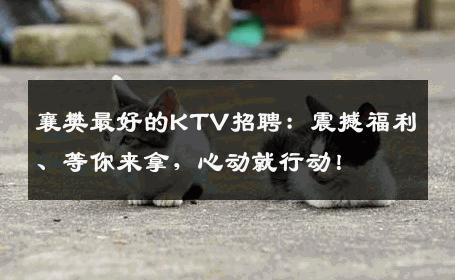 襄樊最好的KTV招聘：震撼福利、等你来拿，心动就行动！