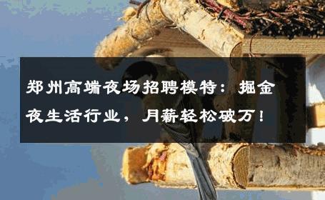 郑州高端夜场招聘模特：掘金夜生活行业，月薪轻松破万！