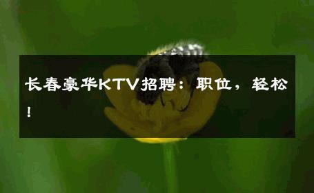 长春豪华KTV招聘：职位，轻松！