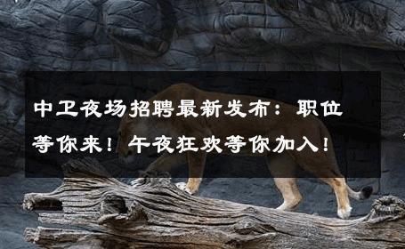 中卫夜场招聘最新发布：职位等你来！午夜狂欢等你加入！