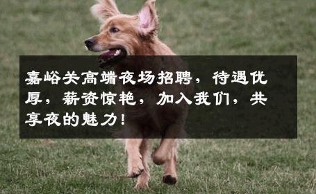 嘉峪关高端夜场招聘，待遇优厚，薪资惊艳，加入我们，共享夜的魅力！