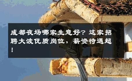 成都夜场哪家生意好？这家招聘大波优质岗位，薪资待遇超！