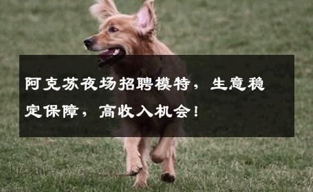 阿克苏夜场招聘模特，生意稳定保障，高收入机会！
