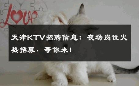 天津KTV招聘信息：夜场岗位火热招募，等你来！