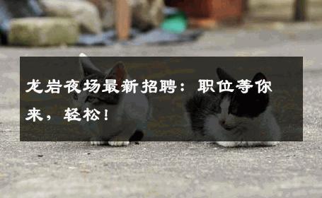 龙岩夜场最新招聘：职位等你来，轻松！