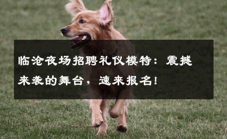 临沧夜场招聘礼仪模特：震撼来袭的舞台，速来报名！