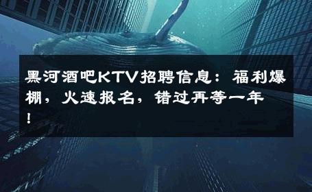 黑河酒吧KTV招聘信息：福利爆棚，火速报名，错过再等一年！