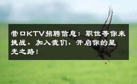营口KTV招聘信息：职位等你来挑战，加入我们，开启你的星光之路！
