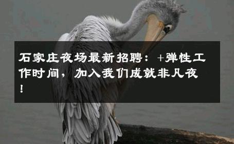 石家庄夜场最新招聘：+弹性工作时间，加入我们成就非凡夜！