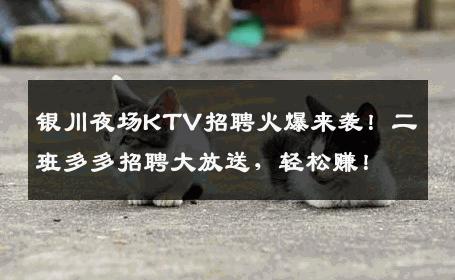 银川夜场KTV招聘火爆来袭！二班多多招聘大放送，轻松赚！