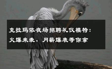 克拉玛依夜场招聘礼仪模特：火爆来袭，月薪爆表等你拿