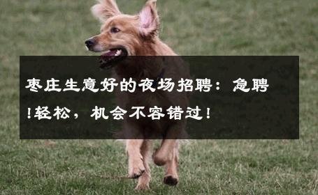枣庄生意好的夜场招聘：急聘!轻松，机会不容错过！