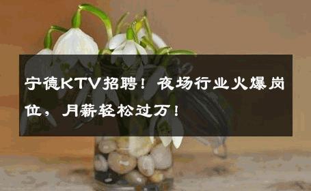 宁德KTV招聘！夜场行业火爆岗位，月薪轻松过万！