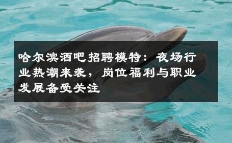 哈尔滨酒吧招聘模特：夜场行业热潮来袭，岗位福利与职业发展备受关注