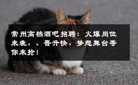 常州高档酒吧招聘：火爆岗位来袭，、晋升快，梦想舞台等你来抢！