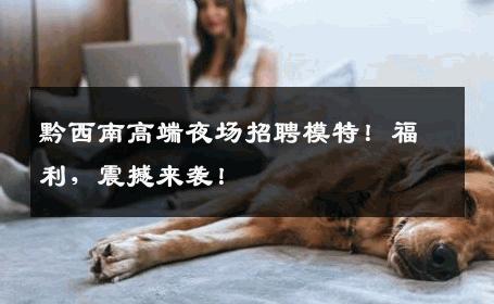 黔西南高端夜场招聘模特！福利，震撼来袭！