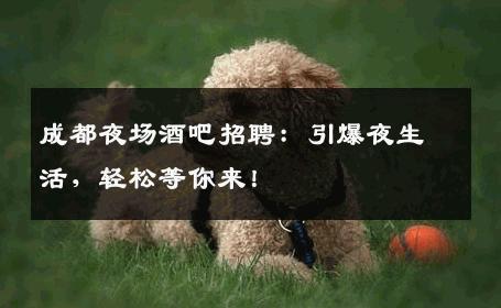 成都夜场酒吧招聘：引爆夜生活，轻松等你来！