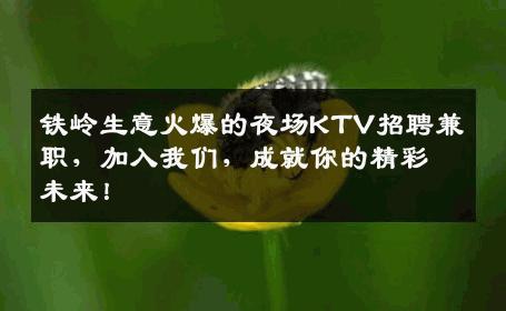 铁岭生意火爆的夜场KTV招聘兼职，加入我们，成就你的精彩未来！