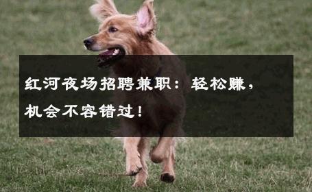 红河夜场招聘兼职：轻松赚，机会不容错过！