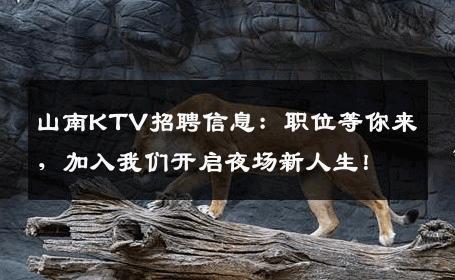 山南KTV招聘信息：职位等你来，加入我们开启夜场新人生！