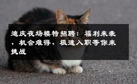 迪庆夜场模特招聘：福利来袭，机会难得，极速入职等你来挑战