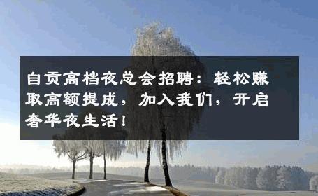 自贡高档夜总会招聘：轻松赚取高额提成，加入我们，开启奢华夜生活！