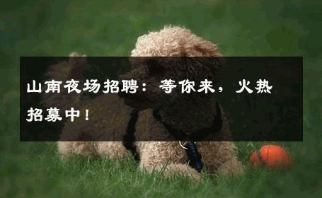 山南夜场招聘：等你来，火热招募中！