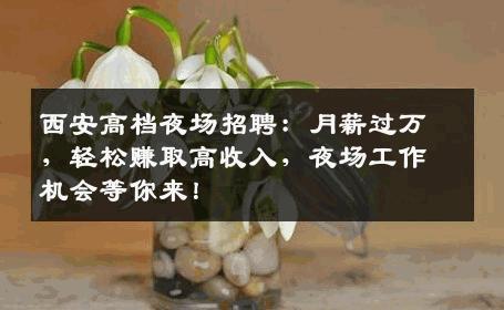 西安高档夜场招聘：月薪过万，轻松赚取高收入，夜场工作机会等你来！