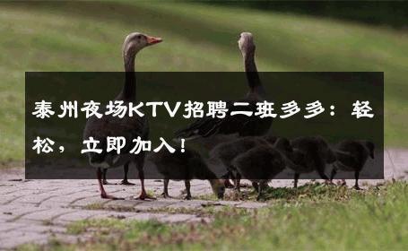 泰州夜场KTV招聘二班多多：轻松，立即加入！