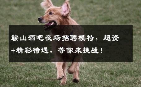 鞍山酒吧夜场招聘模特，超资+精彩待遇，等你来挑战！