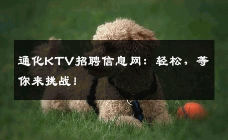 通化KTV招聘信息网：轻松，等你来挑战！