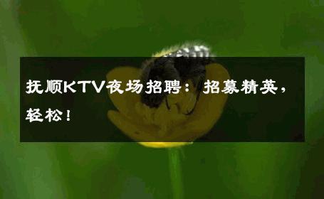 抚顺KTV夜场招聘：招募精英，轻松！