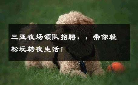 三亚夜场领队招聘，，带你轻松玩转夜生活！