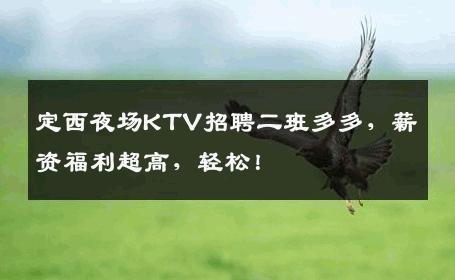 定西夜场KTV招聘二班多多，薪资福利超高，轻松！