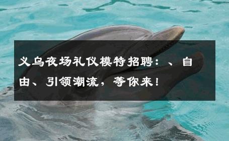 义乌夜场礼仪模特招聘：、自由、引领潮流，等你来！