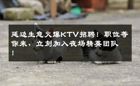 延边生意火爆KTV招聘！职位等你来，立刻加入夜场精英团队！