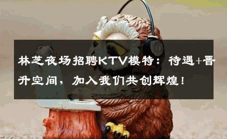 林芝夜场招聘KTV模特：待遇+晋升空间，加入我们共创辉煌！