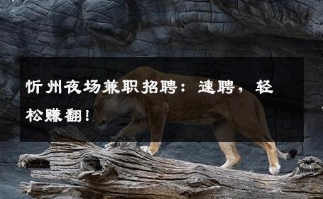 忻州夜场兼职招聘：速聘，轻松赚翻！